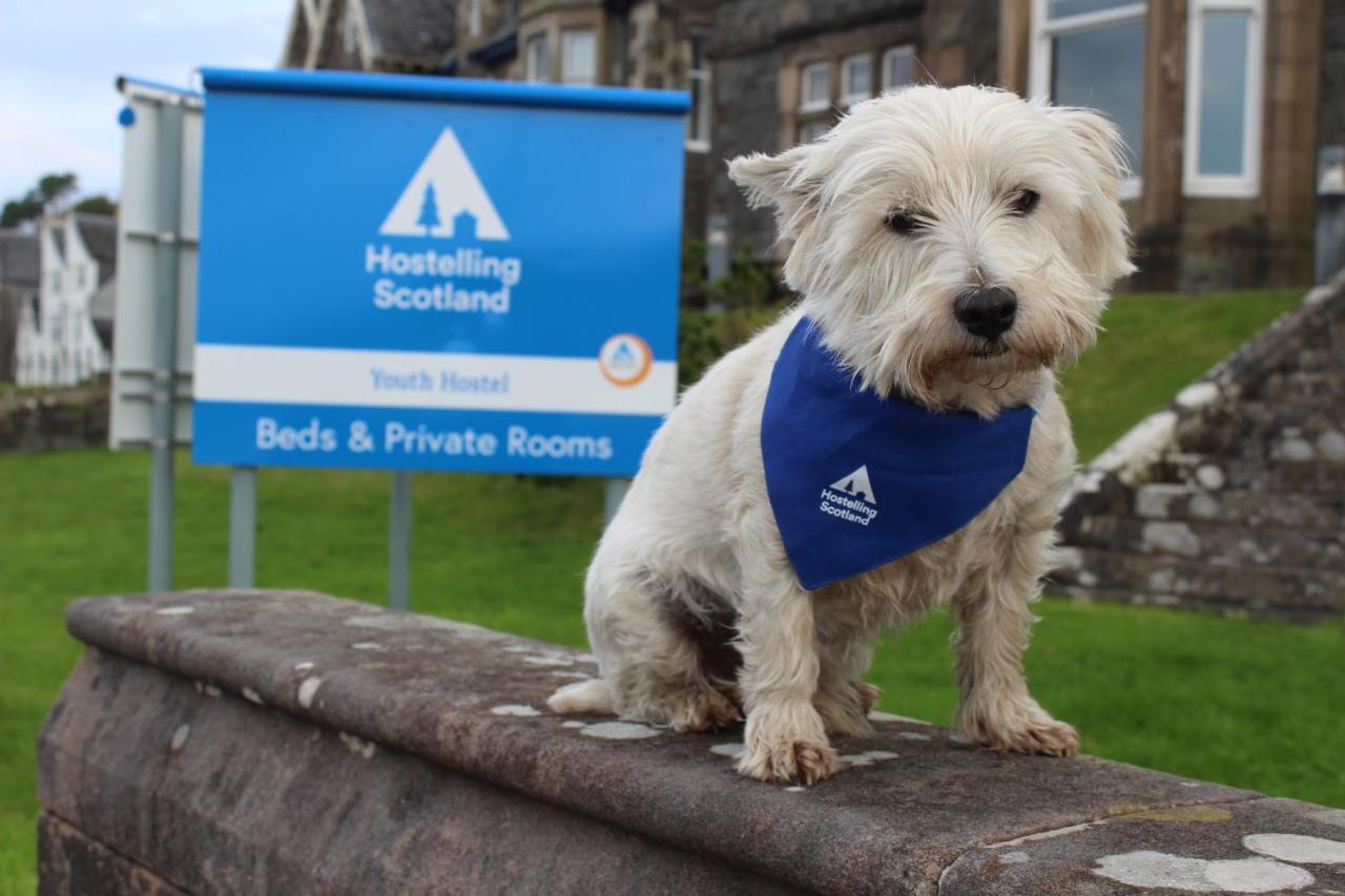 Oban Youth Hostel Exterior photo The West Highland White Terrier is the official dog of the AA